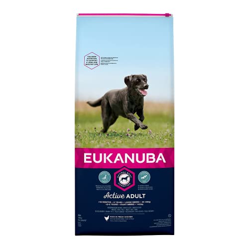 Eukanuba Hundefutter für große Hunde, reich an frischem Huhn von Eukanuba