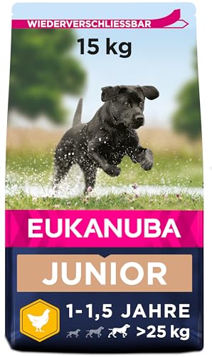 Eukanuba Hundefutter mit frischem Huhn für große Rassen, Premium Trockenfutter für Junior Hunde, 15 kg von Eukanuba