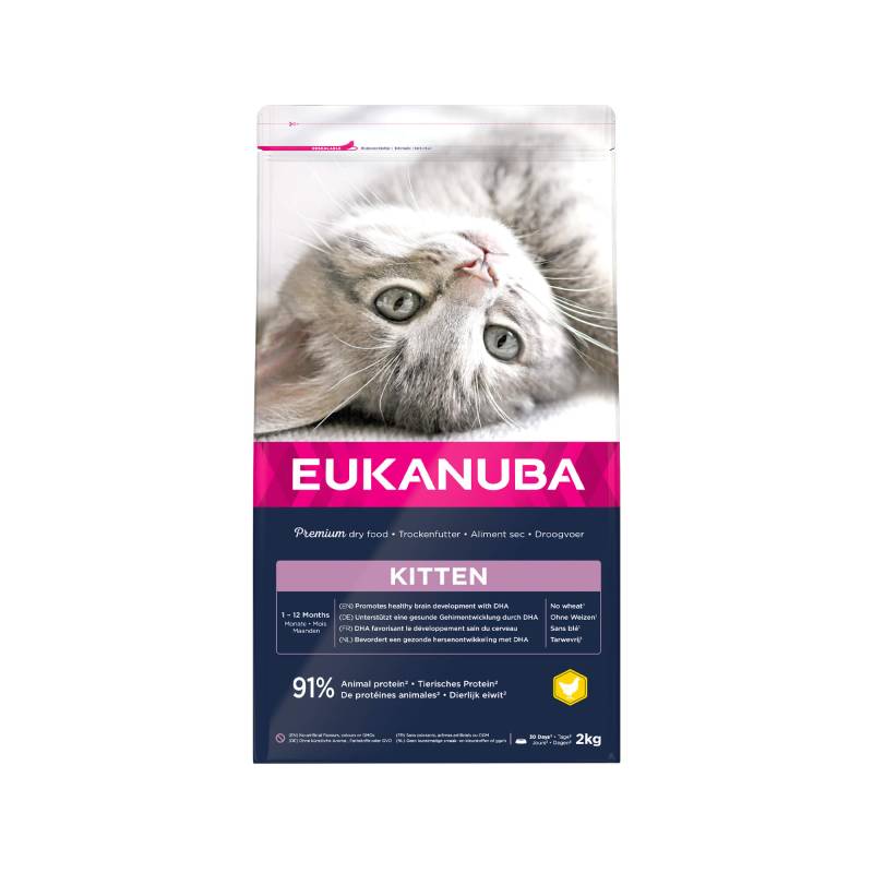 Eukanuba Kitten Healthy Start - 10kg von Eukanuba