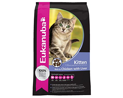 Eukanuba Junior Katzenfutter trocken - Premium Trockenfutter für Kitten von 1-12 Monate, fördert gesundes Wachstum, hoher Fleischanteil, 10 kg von Eukanuba