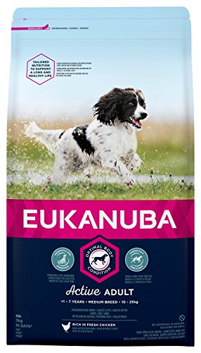 Eukanuba Premium Hundefutter für mittelgroße Hunde, Trockenfutter mit Huhn (1 x 3 kg) von EUKANUBA