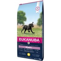 EUKANUBA Trockenfutter Hund Large Breed Puppy, Huhn 15 kg von EUKANUBA