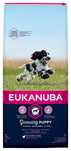 Eukanuba Puppy Welpenfutter für mittelgroße Rassen – Ausgewogenes Trockenfutter mit verbesserter, neuer Rezeptur für Welpen im Alter von 1-12 Monaten in der Geschmacksrichtung Huhn – 1 x 12kg Beutel von Eukanuba