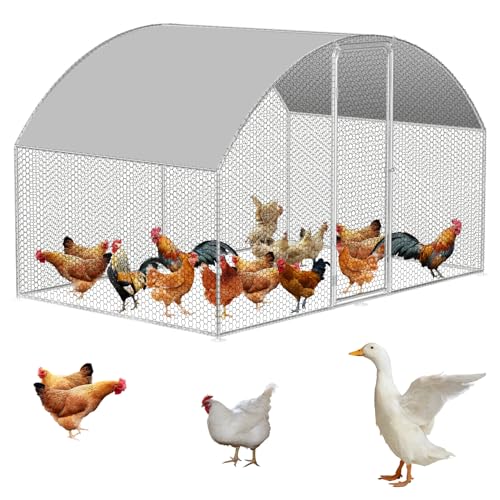 Eulenke 3x2x2m Hühnerstall mit Freilaufgehege Kleintierstall für Outdoor, Hühnerhaus mit Hühnerklappe, Geflügelstall, Vogelkäfig, Hühnerkäfig, Freigehege für Kleintiere von Eulenke