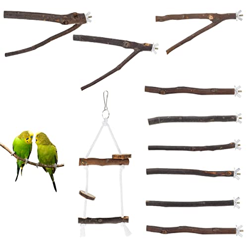 2/10 Stück Parrot Vogel Perch Ständer Plattform Übung aus Holz Paw Grinding Toy Birdcage Zubehör für Parrot Budgie Lovebirds von Eummy