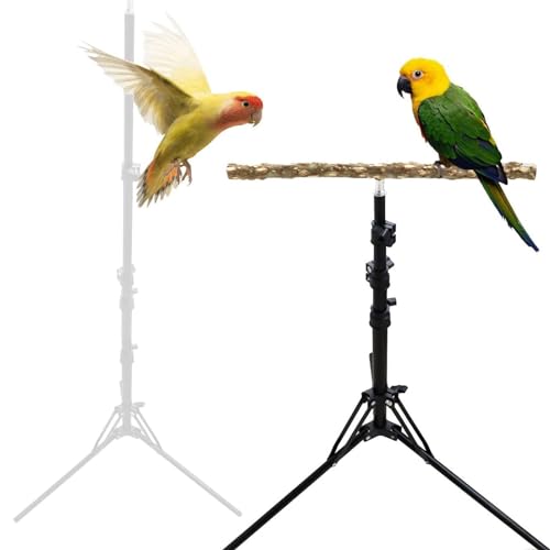 Eurobuy Papageien-Sitzstange, Vogel-Trainingsstange, Papageien-Sitzstange, Spielzeug, Naturholz, Vogelständer für kleine bis mittelgroße Vögel von Eurobuy