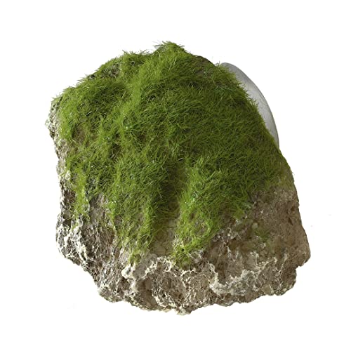 Europet Bernina 234-430149 Aquariumdekoration Aqua Della Moss Stone with Suction Cup, XS von Europet Bernina