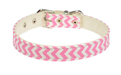 Evans Collars 1,27 cm Halsband, Größe 42, Mini-Chevron, Rosa von Evans Collars