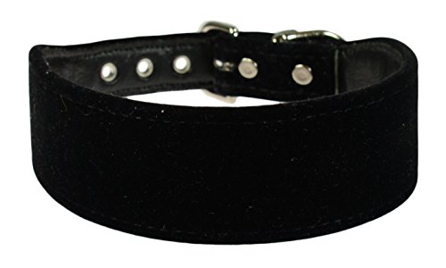 Evans Collars 3,8 cm geformtes Halsband, Größe 42, Samt, Schwarz von Evans Collars