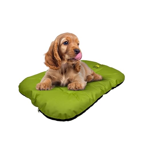 EVE Textile Hundebett | Katzenbett | Hundekorb | Katzenkorb | Hundebetten | Katzenbetten | Hundekörbchen | Katzenkörbchen | Hundekissen | Katzenkissen | 70x100x5 cm (Grün) von Eve Textile GmbH