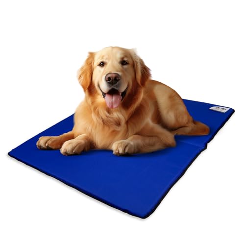 EVE Textile Hundematte | Katzenmatte | Hundekissen | Katzenkissen | Hundebett | Katzenbett | Matte für Hunde und Katzen | Beidseitig Verwendbar | Atmungsaktiv | Kühlend | 70x100x2 cm (Blau) von Eve Textile GmbH