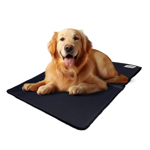 EVE Textile Hundematte | Katzenmatte | Hundekissen | Katzenkissen | Hundebett | Katzenbett | Matte für Hunde und Katzen | Beidseitig Verwendbar | Atmungsaktiv | Kühlend | 70x100x2 cm (Schwarz) von Eve Textile GmbH