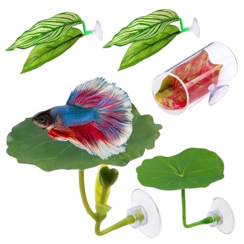 Eventerde Betta Hängematte,Dekorativer Aquarium Lebensraum Für Fische | 5er Set Aquarium Deko Zum Ablaichen & Ausruhen Für Guppys & Kleine Fische Eventerde Betta Hängematte,Dekorativer Aquarium Lebensraum Für Fische | 5er Set Aquarium Deko Zum Ablaichen & Ausruhen Für Guppys & Kleine Fische von Eventerde