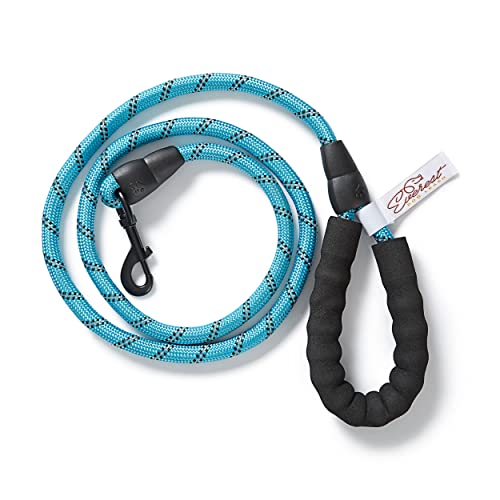 Everest Comfort Hundeleine, Nylon, Blau von Everest Dog Chew