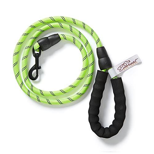 Everest Comfort Hundeleine, Nylon, Grün von Everest Dog Chew