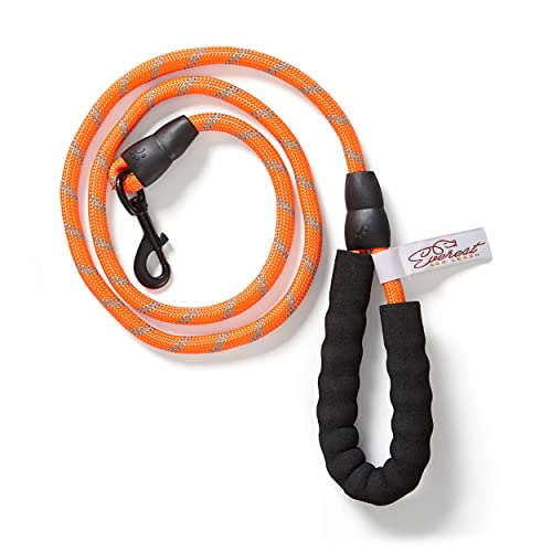 Everest Comfort Hundeleine, Nylon, Orange von Everest Dog Chew