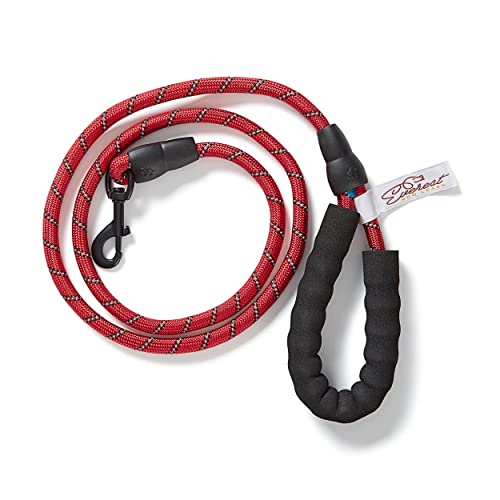 Everest Comfort Hundeleine, Nylon, Rot von Everest Dog Chew