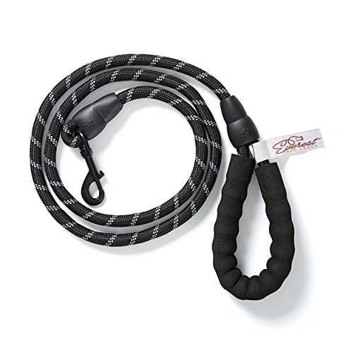 Everest Comfort Hundeleine, Nylonleine für Hunde, Schwarz von Everest Dog Chew