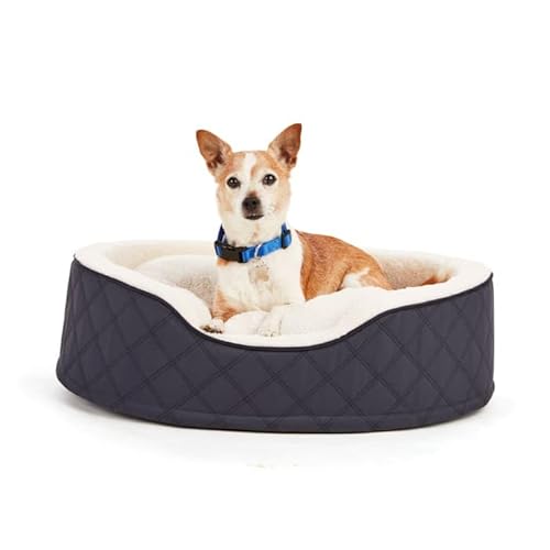 EveryYay Blue Cuddler Orthopädisches Hundebett, 71,1 x 50,8 cm (L x B) von EveryYay