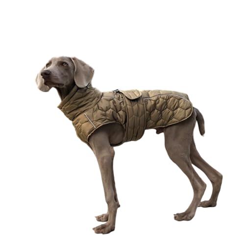 Hundemantel für kaltes Wetter, warme Fleece-Jacke, Puffer-Hundekleidung für kleine Hunde und mittelgroße Hunde, Grün, Größe L von Everything Chic