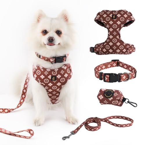 Verstellbares Hundegeschirr, Leine, Kotbeutelhalter/Spender und Bandana-Set, kein Ziehen, weiches Netz-Polsterung, für kleine/mittelgroße Hunde, Spaziergänge/Laufen im Freien (Small, Chewy Pawtton) von Everything Chic