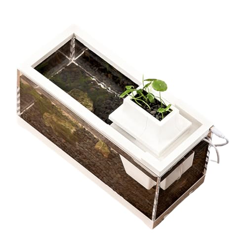 Desktop-Aquarium, Desktop-Aquarium | Transparentes Niederspannungs-Tischaquarium, leise | Beleuchtetes Mini-Aquarium, auslaufsicher für Schlafzimmer, Regale, Wohnzimmer, Schreibtische von EviKoo