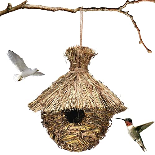 Kolibri-Häuser für draußen,Kolibri-Nest, Natürliche Kolibri-Vogelhäuser für draußen, Kleine Vogelhütte für den Winter, Gartendekoration, Vogelnist-Set für Zweige, Ranken, Zäune von EviKoo