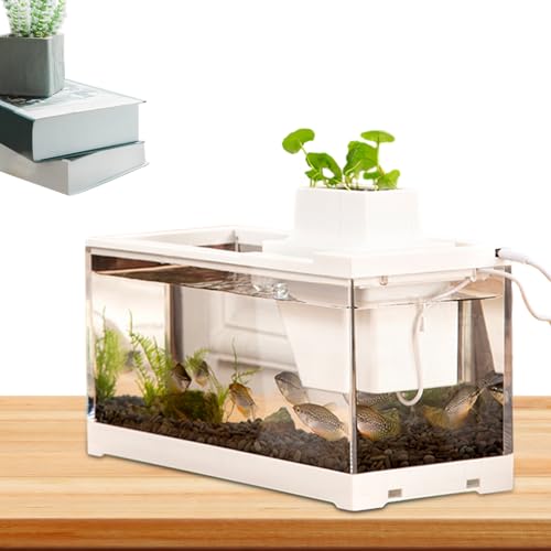 Schreibtisch-Aquarium, Aquarium | Niederspannungs-Leises Tischaquarium mit Wasserpumpe | Beleuchtetes -Aquarium, große Öffnung, auslaufsicher, für Schlafzimmer, Tische, Schreibtische von EviKoo