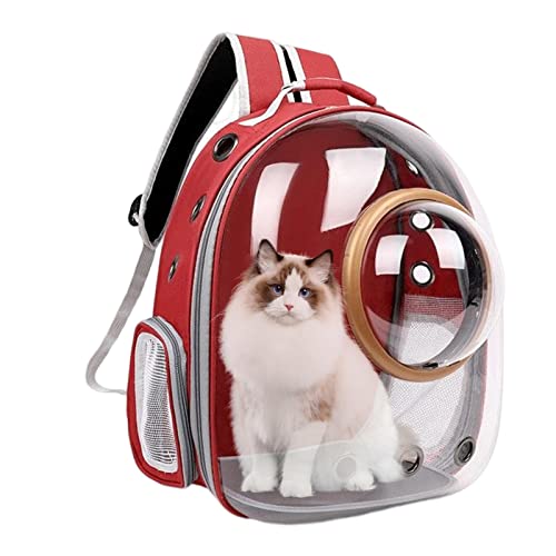 Katzen-Aufbewahrungs-Rucksack, transparenter Haustier-Wanderrucksack, Bubble Cats Dogs Aufbewahrungstasche für Reisen, Wandern von EviKoo