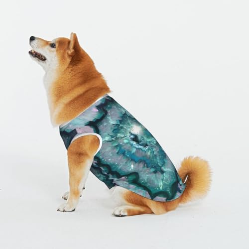 Blaugrün Achat Haustier Katze Hund Shirt Baumwolle T-Shirt Haustier Weihnachten Pullover Weich Bequem Baumwolle Pyjama Haustier Katze Junge Hund Dress Up Kostüme von Evius