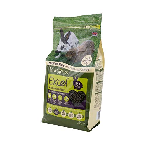 Burgess Excel Pellets mit Minze für ausgewachsene Kaninchen, Futter, 10 kg von Excel