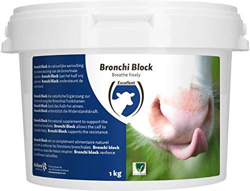 Bronchi Block (BRON1000) von Excellent