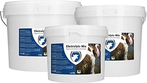 Electrolyten-Mix - 2,5 kg von Excellent