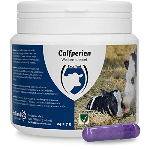 Excellent Calfperien PIL Gesundheitspflege Zubehör für Kälber von Excellent