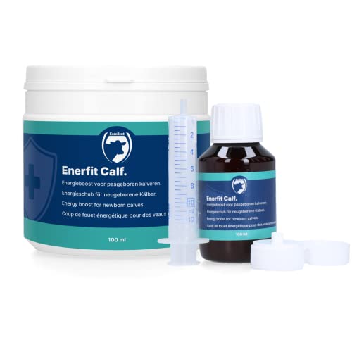 Excellent Enerfit Kalb 100 ml | Ergänzungsfuttermittel von Excellent