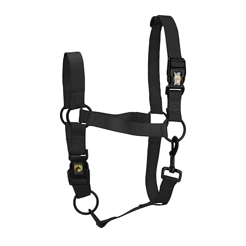 Excellent Horse Essential Halster XL Full Zwart von Excellent