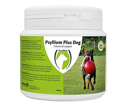 Excellent Psyllium Plus Dog - Zur Unterstützung von dünnem oder festsitzendem Stuhl oder zur Anregung des Darms - Für Hunde geeignet - 100 Gramm von Excellent