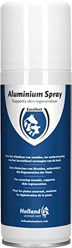 Excellent Spray aus Aluminium von Excellent