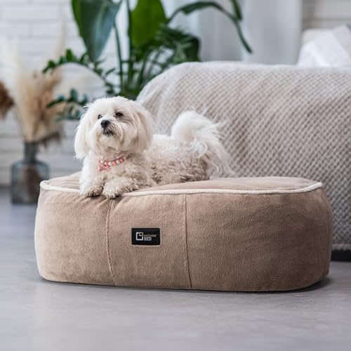 exclusive BED Anti-Stress Hundekissen Kissen Sky Grosse Mittelgroße Kleine Hunde - Hundebett Hundematte aus Sorisso-Stoff - Komfortabel Weich Abriebfest Reißfest (XL | 100x80x20cm, Cappuccino) von exclusive BED