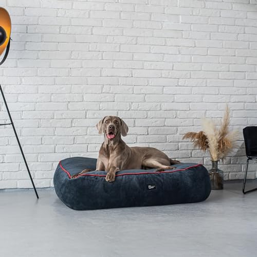 exclusive BED Anti-Stress Hundekissen Kissen Sky Grosse Mittelgroße Kleine Hunde - Hundebett Hundematte aus Sorisso-Stoff - Komfortabel Weich Abriebfest Reißfest (XL | 100x80x20cm, Dunkelblaugrau) von exclusive BED