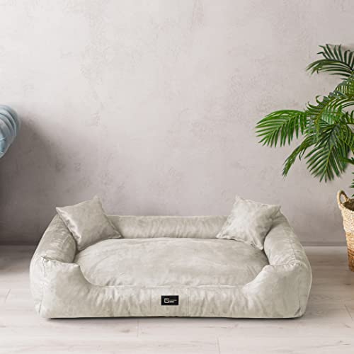 exclusive BED Hundebett Puffi Grosse Mittelgroße Kleine Hunde - Hundekissen Hundematte aus Alcantara-Stoff - Waschbar Kuschelig Langlebig Abriebfest Reißfest (XXXL+| 160x110cm, Ecru) von exclusive BED