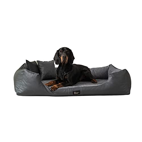 exclusive BED Orthopädisches Hundebett Eden Grosse Mittelgroße Kleine Hunde - Hundekissen Hundematte aus Öko-Leder + Alcantara-Stoff - Schmerzlindernd Abriebfest Reißfest (XXL, Grau) von exclusive BED