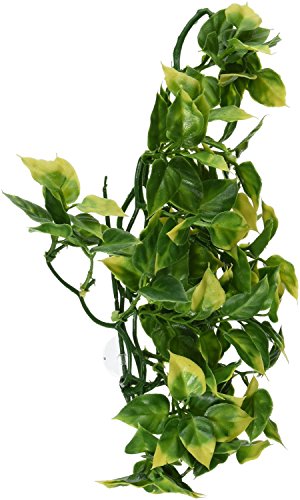 Exo Terra 544190 Terrarium Plant Amapallo Shrub Plastic, Medium von Exo Terra