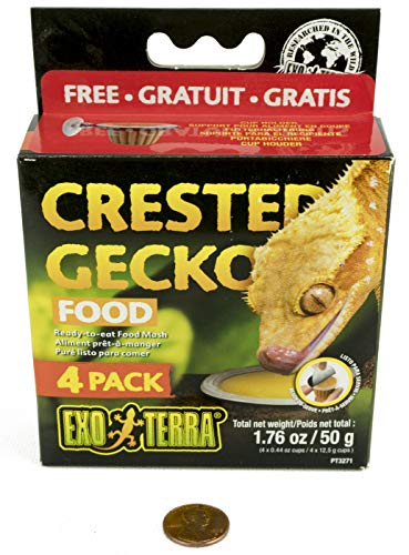 Exo Terra Crested Gecko Food, Futterbrei für alle Gecko Arten, Geckofutter, praktische Portionsschälchen, 4 x 12,5g von Exo Terra