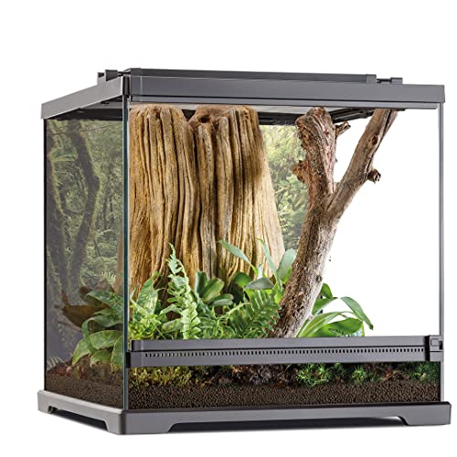 Exo Terra Dart-Frosch-Terrarium von Exo Terra