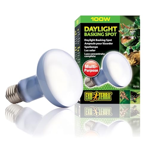 Exo Terra Tageslichtlampe mit Sonnenstrahl, 100 W, Weiß von Exo Terra