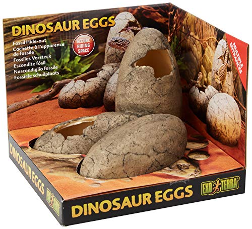 Exo Terra Dinosaur Eggs, Dinosaurier Eier, verschiedene Versteckmöglichkeiten für Terrarienbewohner, groß von Exo Terra
