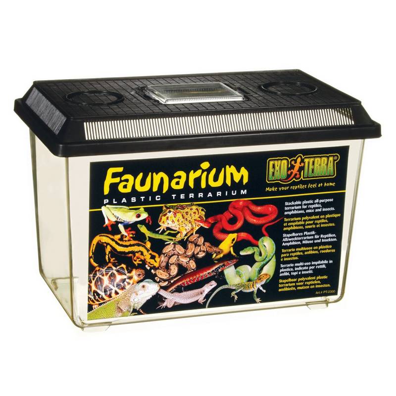 Exo Terra Faunarium 370x220x250 mm - large (L) von Exo Terra