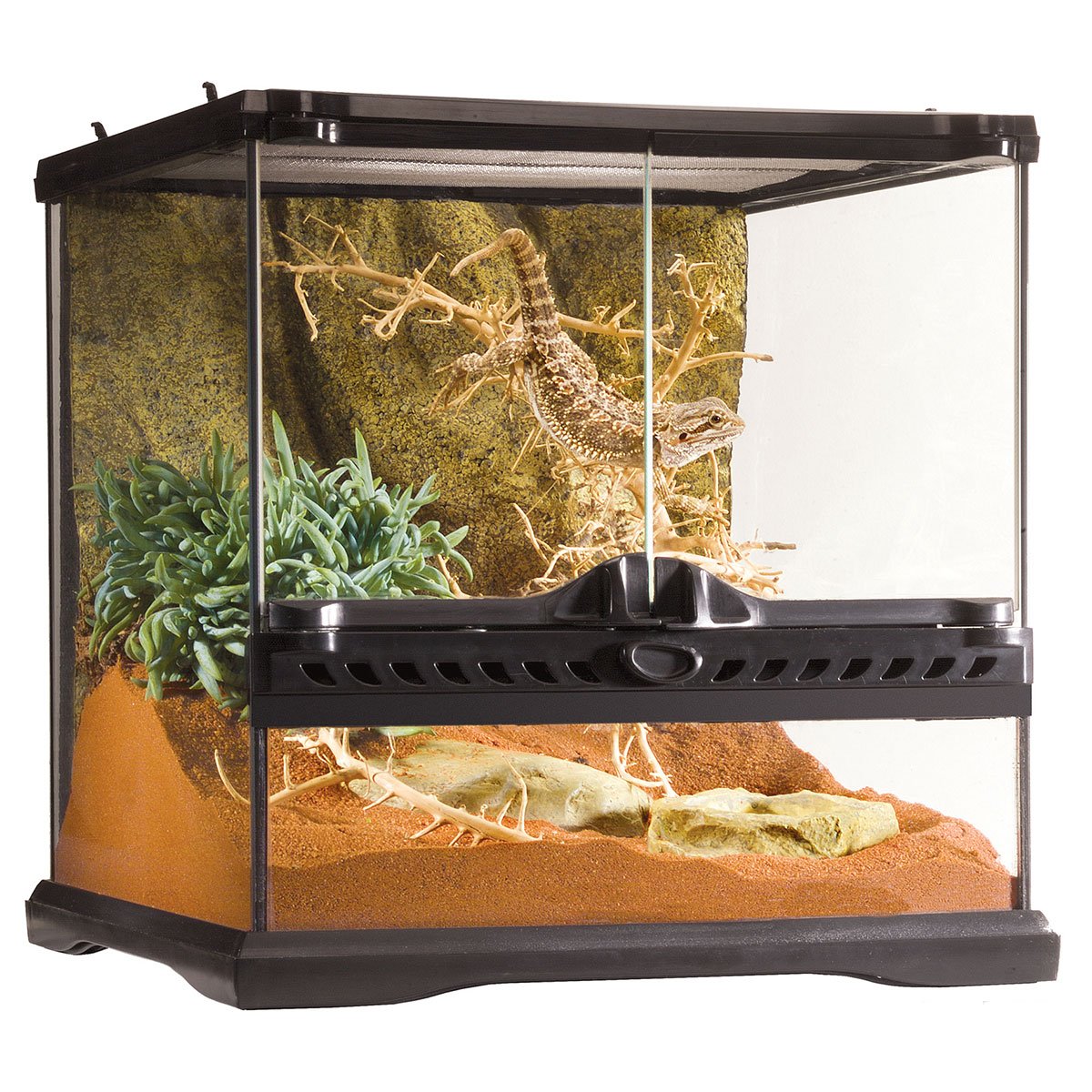 Exo Terra Glasterrarium 30x30x30 cm von Exo Terra