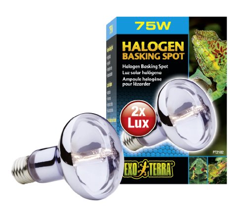 Exo Terra Halogen Basking Spot, Breitspektrum Tageslichtlampe, 75W, Fassung E27, 1 Stück (1er Pack) von Exo Terra